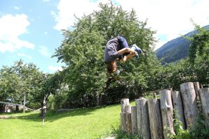 der sonnige Garten